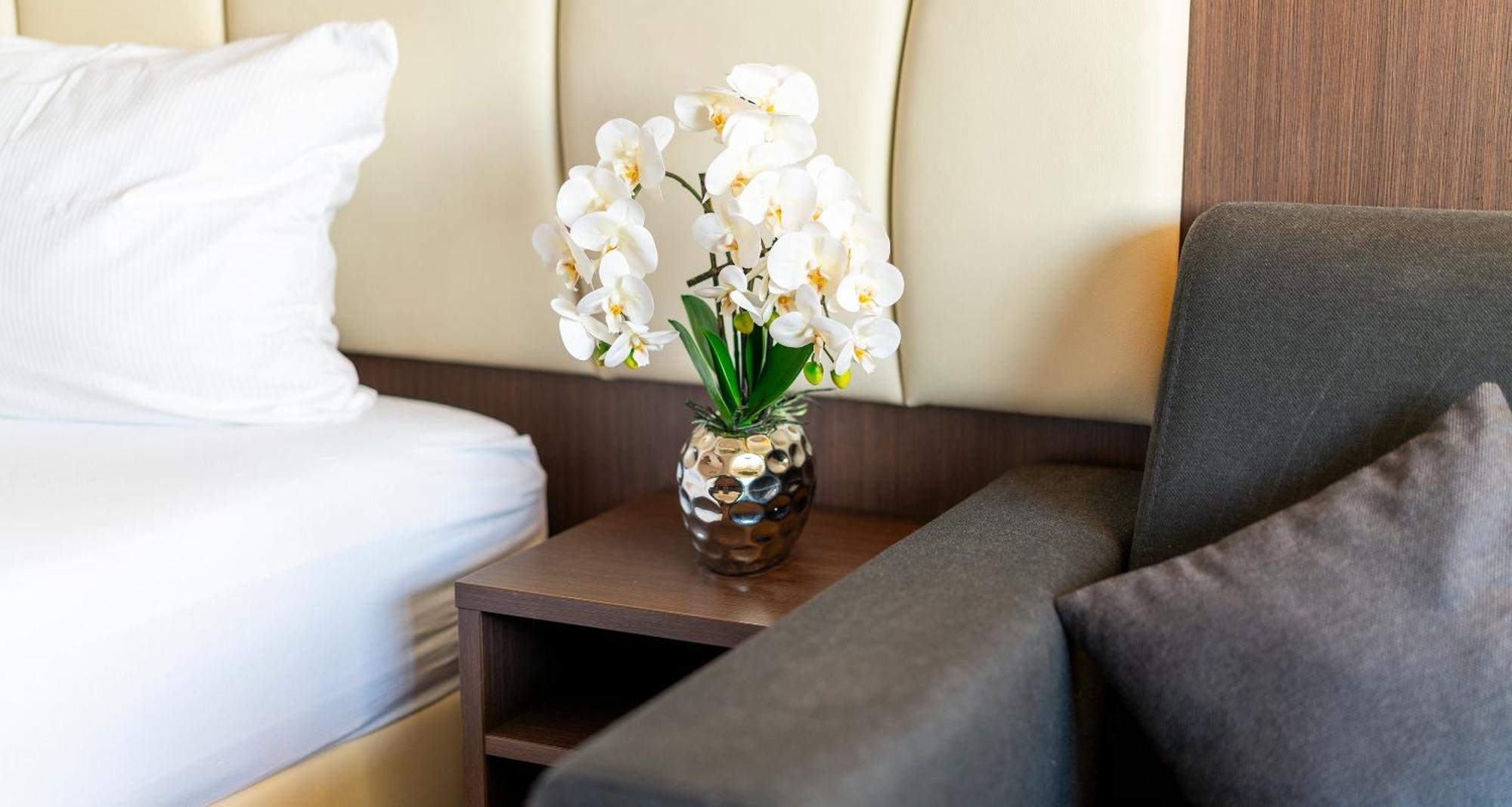 Plaza Hotel Foehr Am Bodensee ฟรีดริชส์ฮาเฟน ภายนอก รูปภาพ