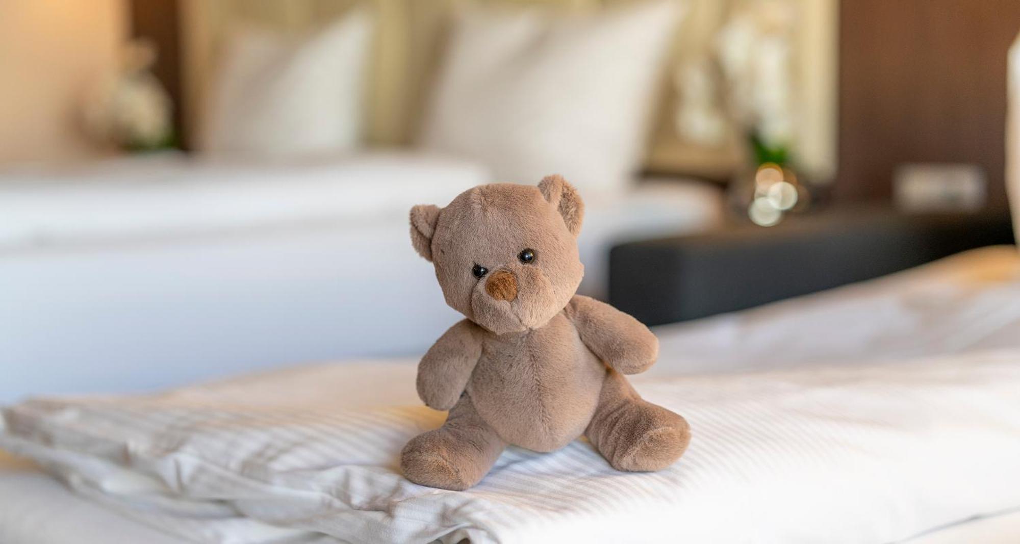 Plaza Hotel Foehr Am Bodensee ฟรีดริชส์ฮาเฟน ภายนอก รูปภาพ