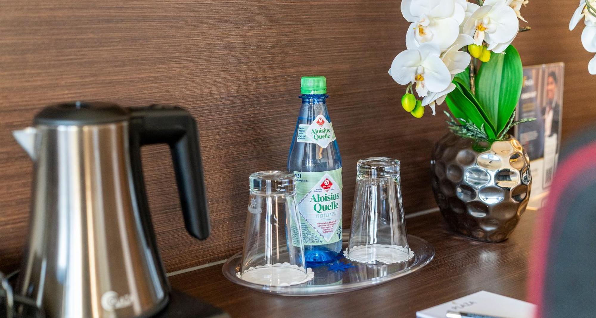 Plaza Hotel Foehr Am Bodensee ฟรีดริชส์ฮาเฟน ภายนอก รูปภาพ